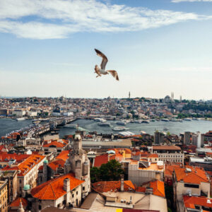 İstanbul + (15 Seans G9 - 15 Seans Vivaldi Heykeltraş - 15 Seans Emslimfit)